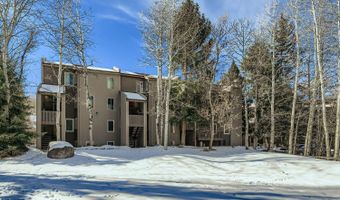 142 Eagle Dr C-8, Avon, CO 81620