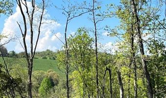 Tract 1 Mill Creek Rd, Andersonville, TN 37705