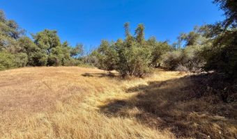 41902 Woodward Way, Ahwahnee, CA 93601