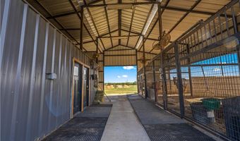 12093 Sulphur Springs Rd, Adkins, TX 78101
