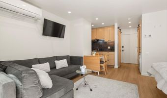 725 E Main St 107, Aspen, CO 81611
