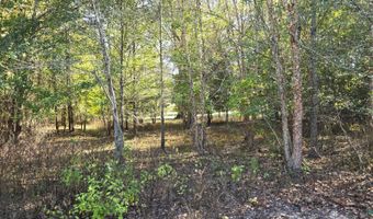 194146 N 4223 Rd, Antlers, OK 74523