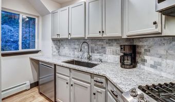 1095 QUARTZVILLE, Alma, CO 80440