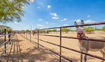29449 N 64TH St, Cave Creek, AZ 85331