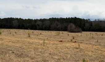 01 Seneca St Ext, Calhoun Falls, SC 29628