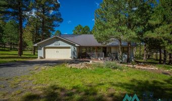 151 Alto Pines Trl, Alto, NM 88312