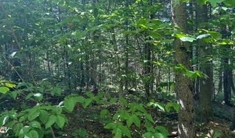 639 Horace Way Rd, Albany, VT 05820