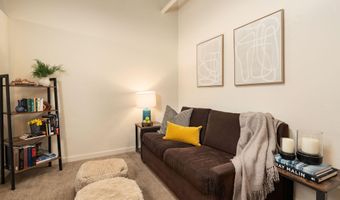 231 Robinson St 320, Basalt, CO 81621
