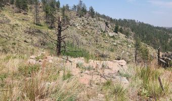693 Cougar Dr, Bellvue, CO 80512