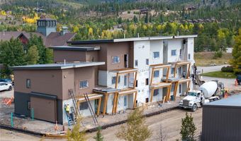 350 STAN MILLER 101, Breckenridge, CO 80424