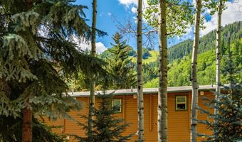 303 W Hopkins Ave, Aspen, CO 81611