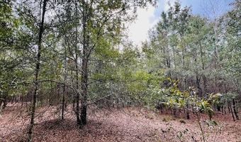 85 Th St, Bell, FL 32619