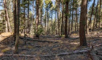 Back Basin Rd lot 145, Angel Fire, NM 87710
