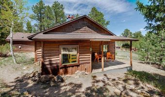 104 County Road 90, Allenspark, CO 80510