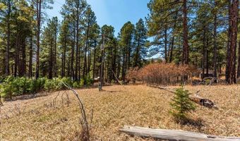 103 Pine Dr, Bayfield, CO 81122