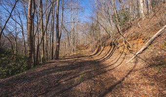 Ararat Highway, Ararat, VA 24053