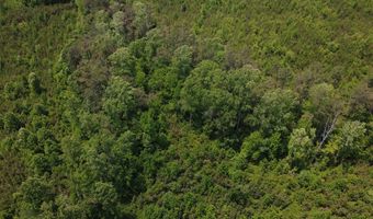 Tucker Road lot 13, Bath Springs, TN 38311
