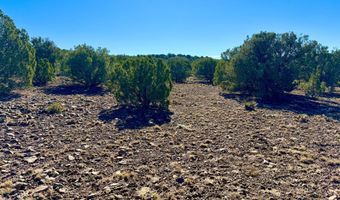 Kirkland DR 20 Acres, Concho, AZ 85924