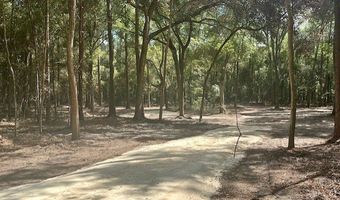 SW 20th St, Bell, FL 32619
