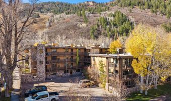131 E Durant Ave 202, Aspen, CO 81611
