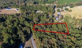 Barnes Rd, Andrews, SC 29510