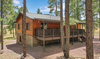24 County Rd 2079, Alpine, AZ 85920