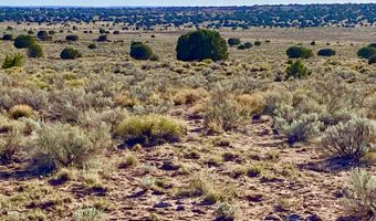 River Meadows Ranch Unit 3 Lot 204, Concho, AZ 85924