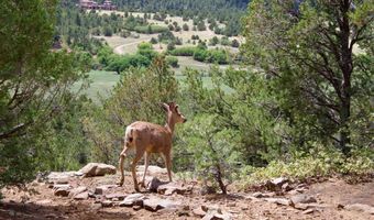 22750 County Rd 46, Aguilar, CO 81020