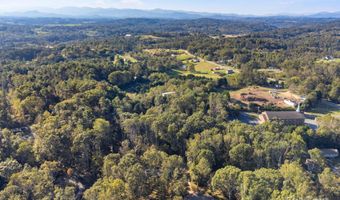 226 Wildflower Rd, Asheville, NC 28804