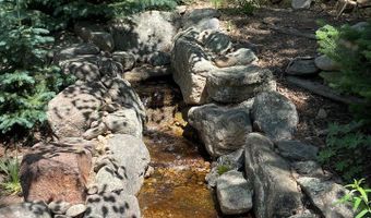 124 Ski Rd, Allenspark, CO 80510