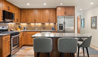 700 Ute Ave 213, Aspen, CO 81611