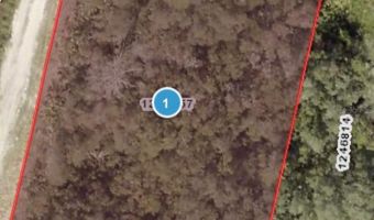 DEER CROSSING ROAD, Altoona, FL 32702