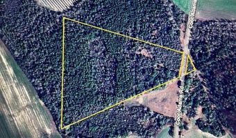 20 Ac Coot Adams Rd, Ashford, AL 36312