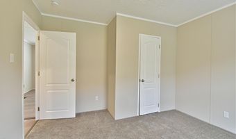 323 Foster Rd, Blaine, TN 37709