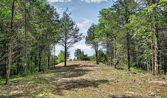 2926 Bryant Ridge Rd, Baxter, TN 38544