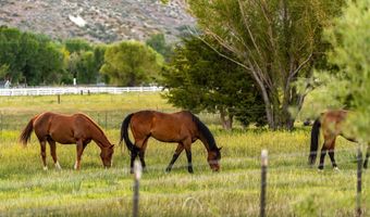 320 Mottsville, Gardnerville, NV 89460