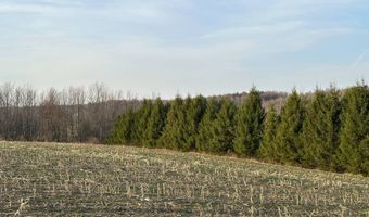 Lot 4 Mud Run Rd, Addison, NY 14801
