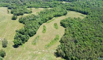 120 Carnes Chapel Rd, Attalla, AL 35954