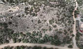Unk Sandia Canyon Rd, Arroyo Hondo, NM 87513