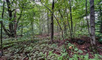 Johnson Rd lot 9, Becket, MA 01223