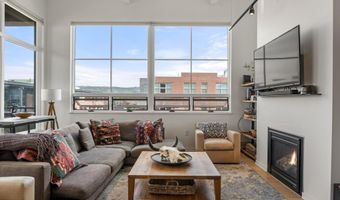 361 Robinson St 308, Basalt, CO 81621