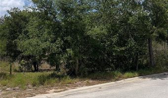 131 BONITA Pkwy, Babson Park, FL 33827