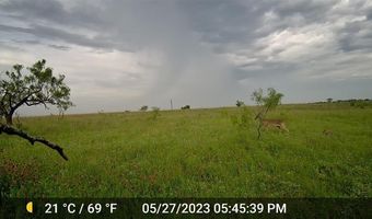 2335 CR 619, Pottsville, TX 76565