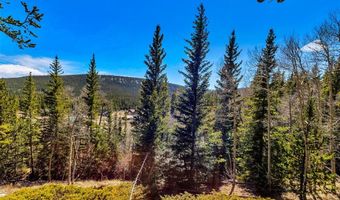 270 Co Rd 667 Lot 0, Alma, CO 80440