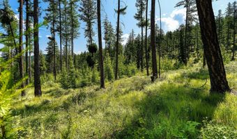 664 Saddlehorn Trl, Bigfork, MT 59911
