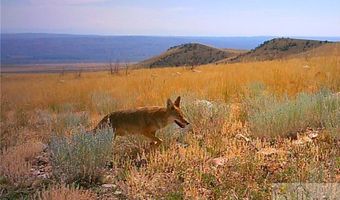 NHN Ruby Creek Road lot Bvr 946-18, Belfry, MT 59008