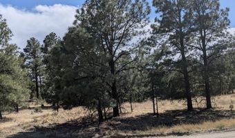 PN TBD BACHE ST & MESITA DR, Alto, NM 88312