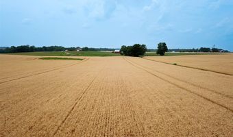 597 Prices Mill Rd, Adairville, KY 42202