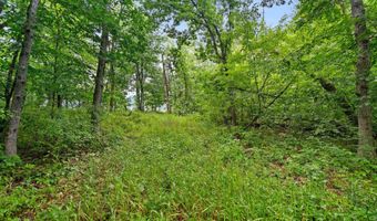 Lt3 County Road N, Arkansaw, WI 54721