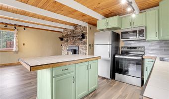 64 Elk Horn Ct, Bailey, CO 80421